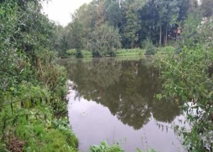 In Am Ostseestrand *