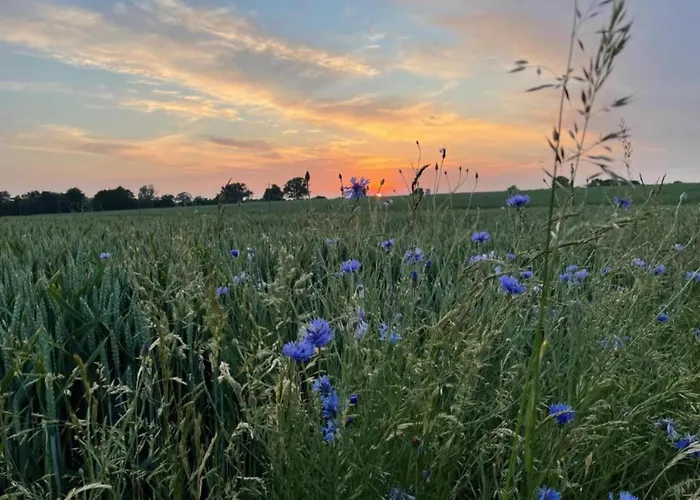 Apartment In Am Ostseestrand